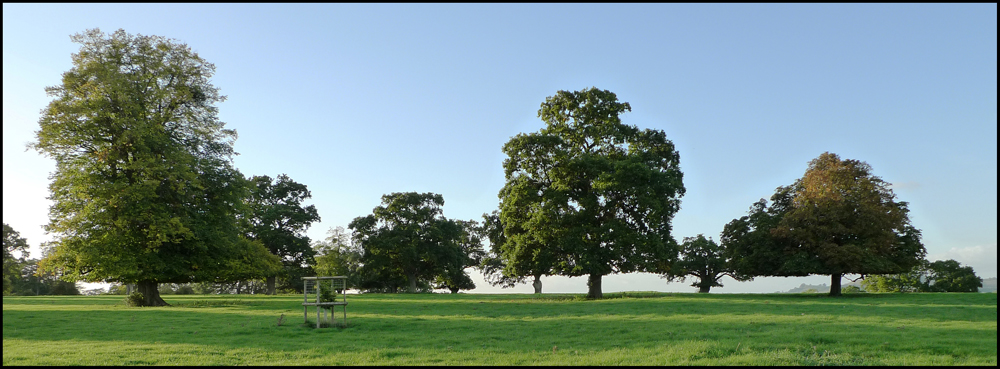 Wednesday September 29th (2010) Trimmed width=