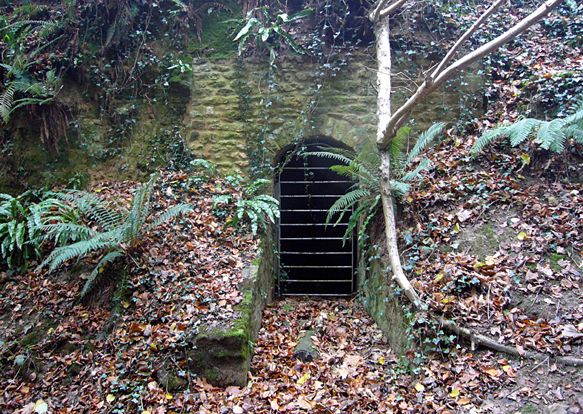 Sunday November 30th (2008) Cave Entrance width=