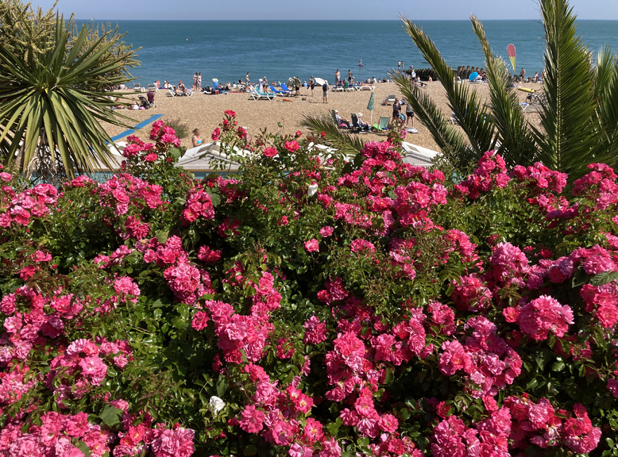 Sunday June 25th (2023) A busy afternoon on Eastbourne promenade and beach width=