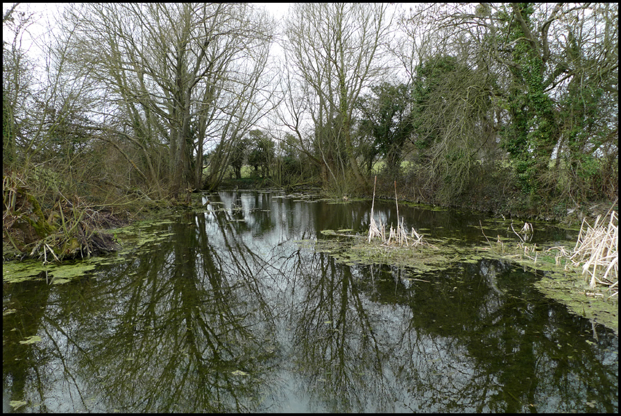 Wednesday March 24th (2010) Pond in the Park width=