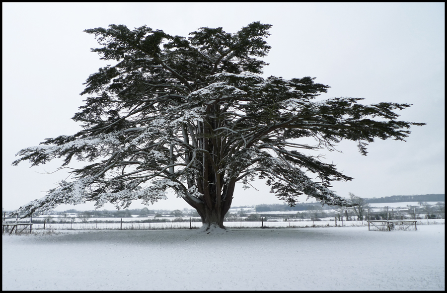 Wednesday January 6th (2010) The snow finally arrived last night. width=