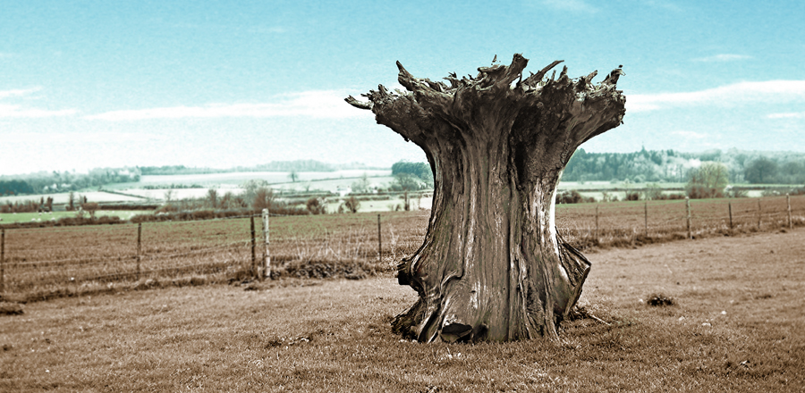 Friday April 28th (2006) Upside Down width=