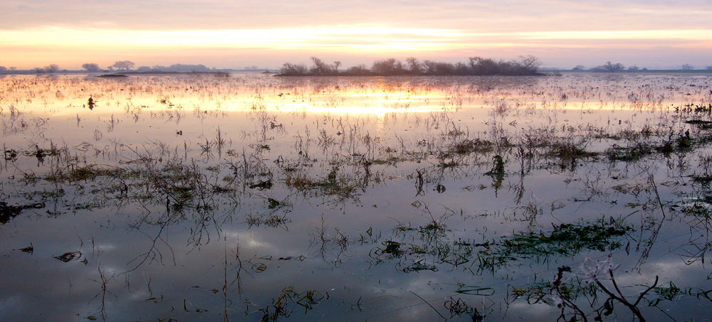 Friday December 12th (2008) Early Morning Sunrise width=