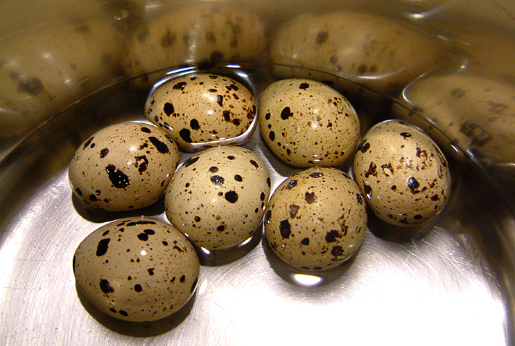 Tuesday October 3rd (2006) Quail Eggs width=