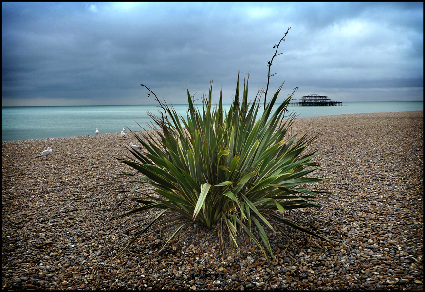 Tuesday March 15th (2011) Brighton Beach width=