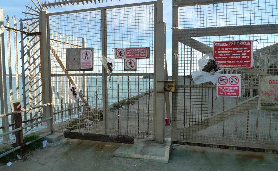 Monday October 31st (2016) No Swimming, No Diving, No Jumping width=