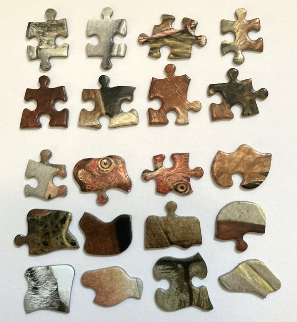 Tuesday April 4th (2023) Jigsaw pieces width=