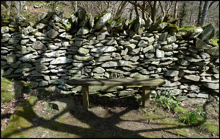 Wednesday April 21st (2010) Bench width=