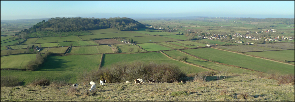 Wednesday December 30th (2009) Dundon Hill from Butleigh Woods width=