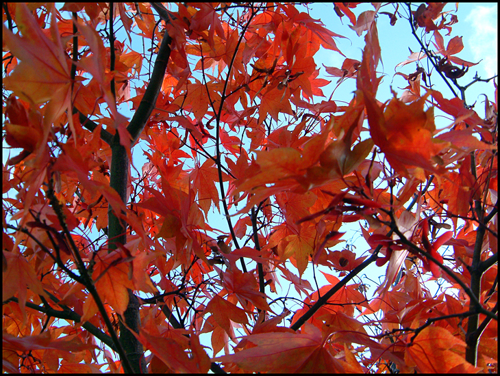 Friday October 23rd (2009) Its that time of the year. width=