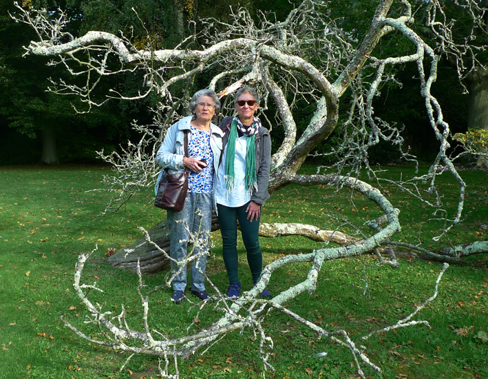 Sunday October 11th (2015) Farley Farm House Garden. width=