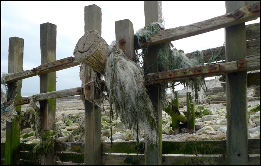 Tuesday April 3rd (2012) Shredded netting width=