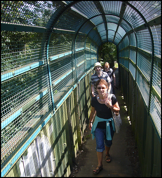 Sunday August 23rd (2009) Bridge width=