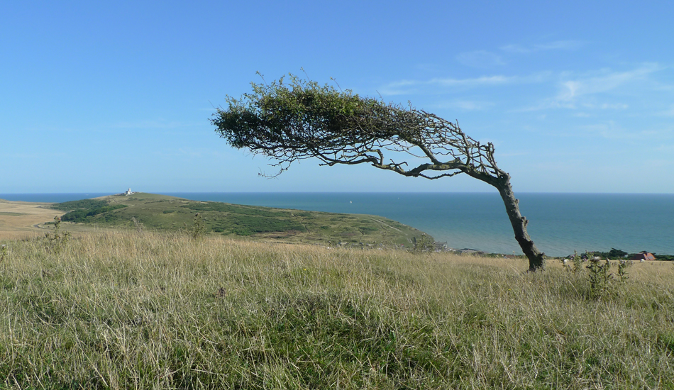 Saturday August 2nd (2014) Prevailing wind (No.2) width=