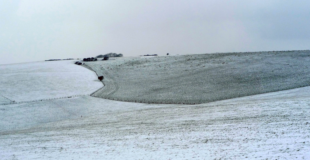 Friday March 2nd (2018) Snowy fields. width=