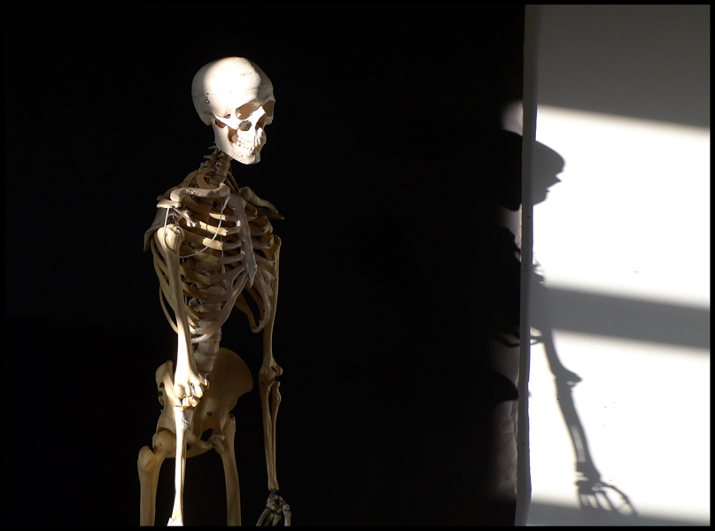 Tuesday February 9th (2010) Bright Sunshine width=