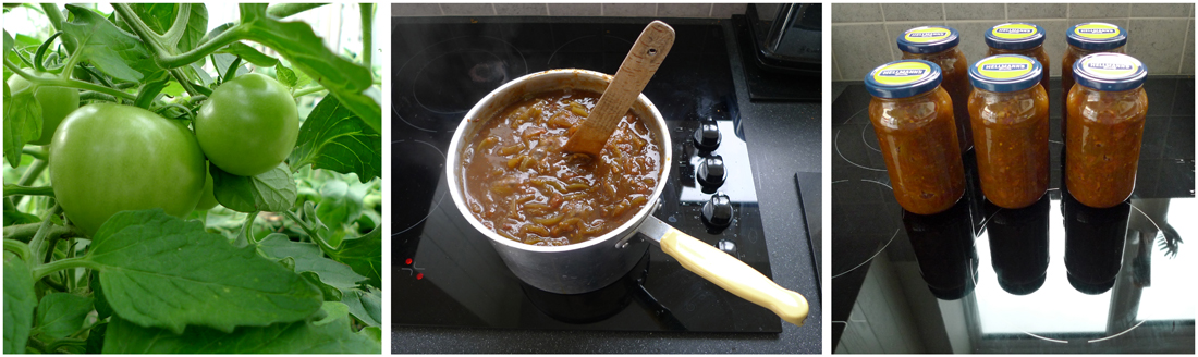 Thursday October 10th (2013) I've been making green tomato chutney width=