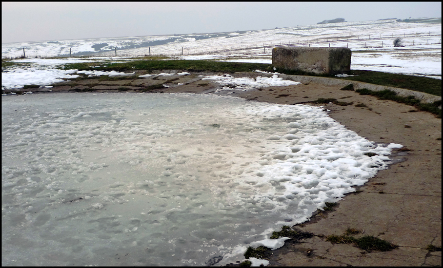 Sunday February 12th (2012) Frozen dew pond. width=