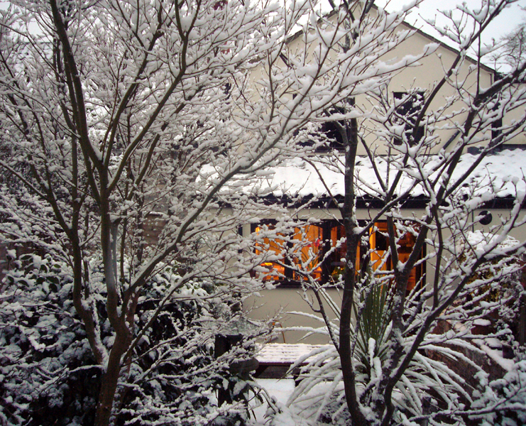 Monday February 2nd (2009) It Snowed Today... width=