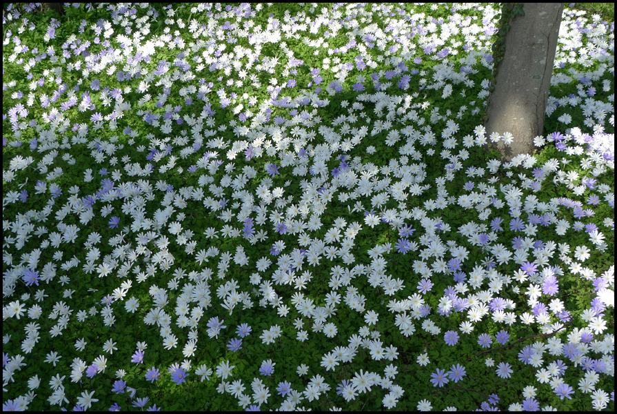 Sunday April 10th (2011) Jude cycles on... width=