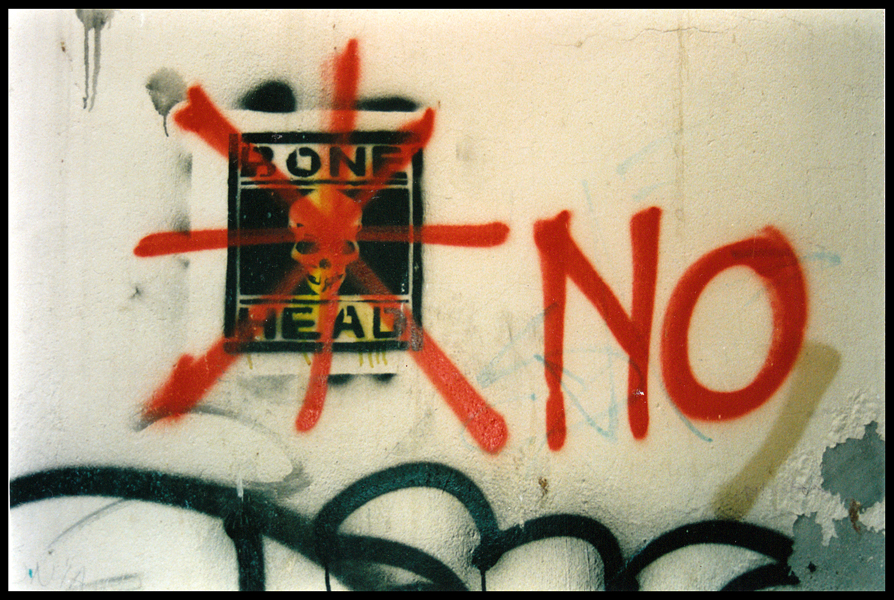 Wednesday January 28th (2009) Bone Head width=