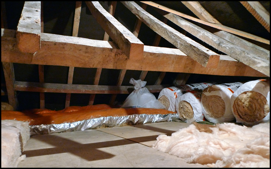 Friday August 13th (2010) Loft Insulation width=