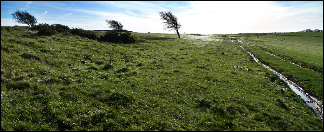 Friday November 16th (2012) Shooting into the sun (No.1) width=