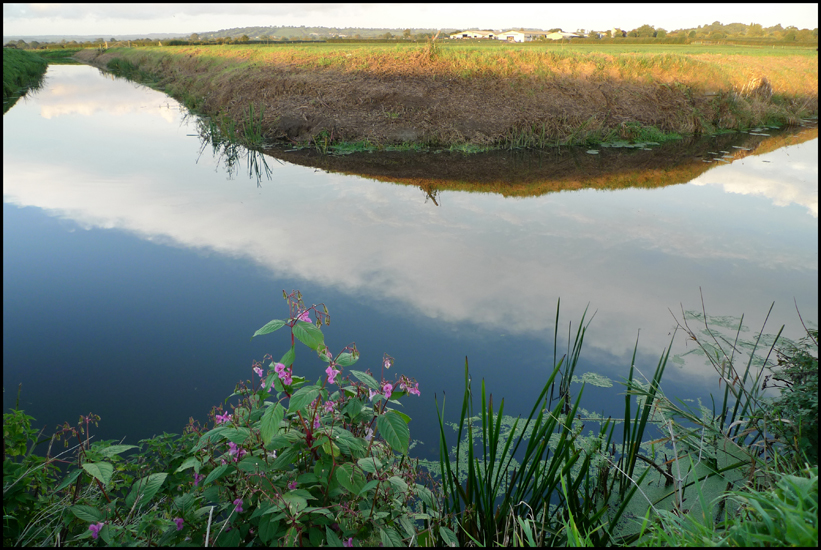 Thursday September 30th (2010) A bend in the Brue width=