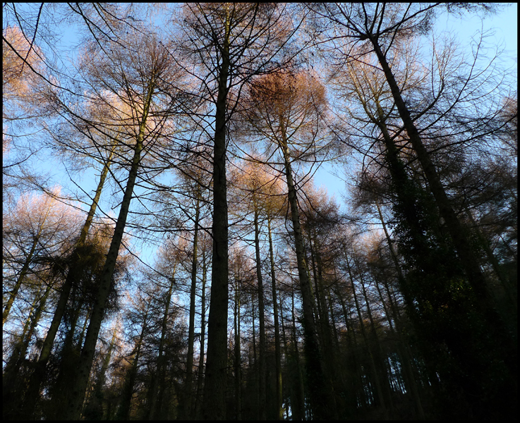 Monday January 4th (2010) Clear Blue Sky width=