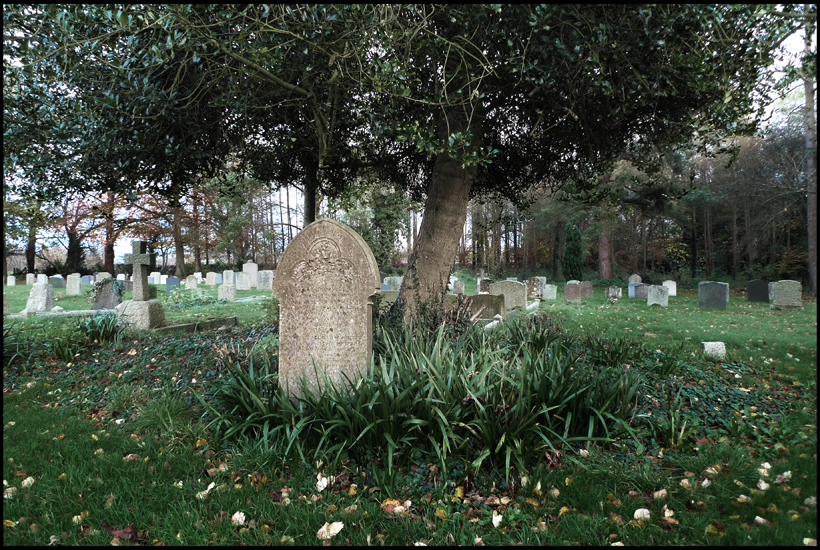 Wednesday November 25th (2009) Grave width=