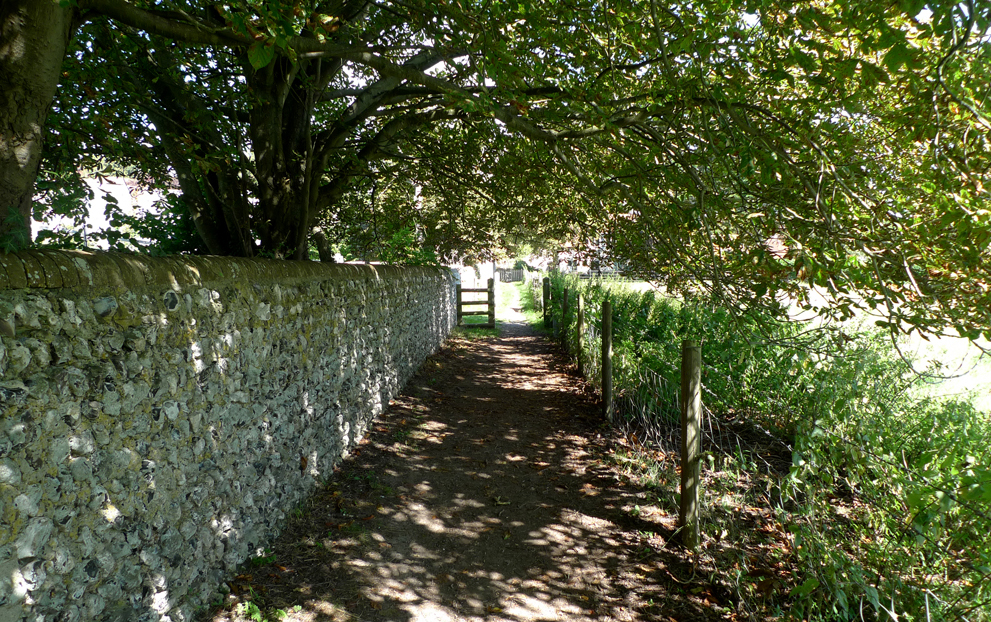 Sunday September 9th (2018) On the path to Sandra's cottage in East Dean. width=