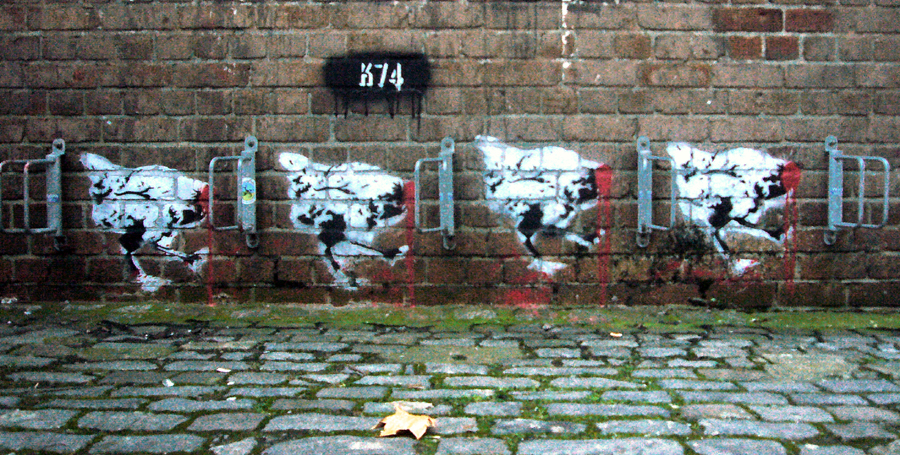 Thursday November 27th (2008) Headless Chickens width=