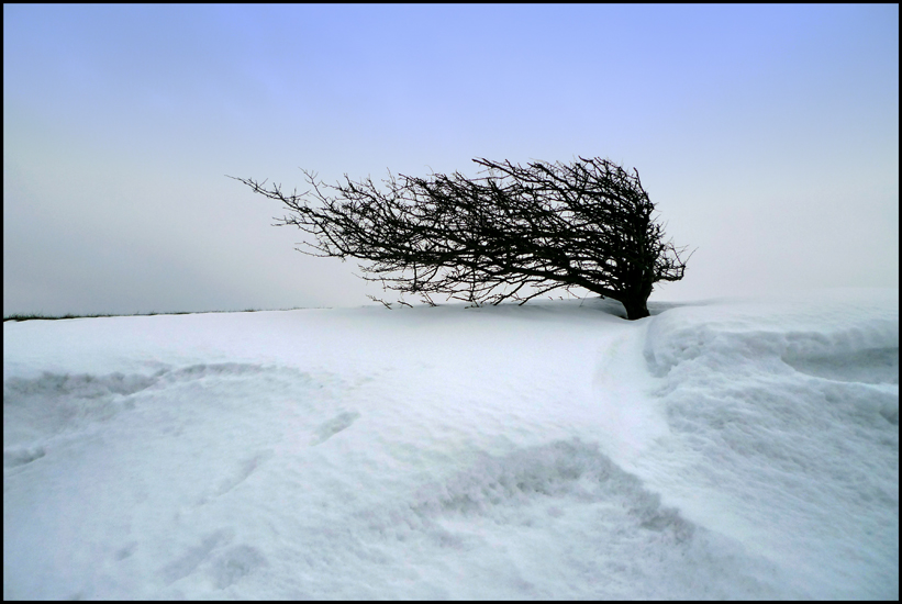 Friday February 10th (2012) Drift width=