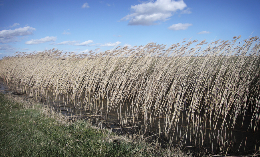 Monday March 2nd (2015) Windy width=