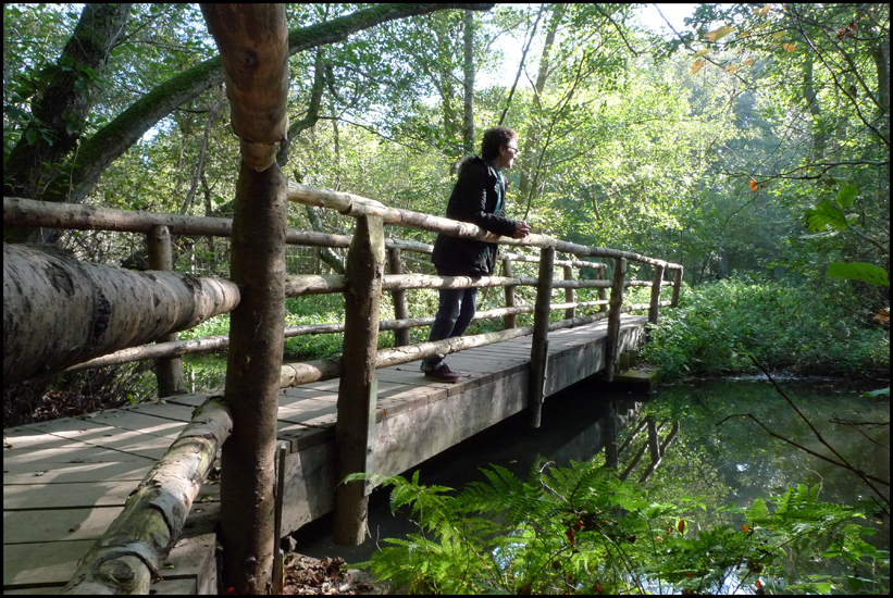 Tuesday October 18th (2011) On the bridge width=