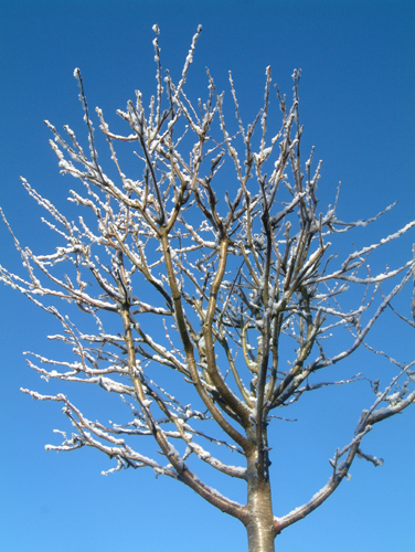 Thursday March 2nd (2006) Bright Blue Sky width=