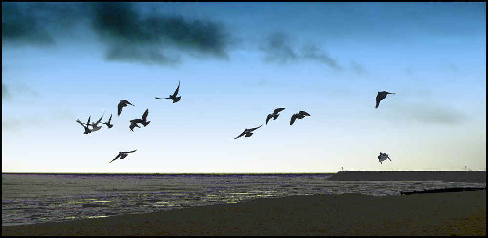 Sunday March 20th (2011) Jude and I ride our bikes to Sovereign Harbour width=