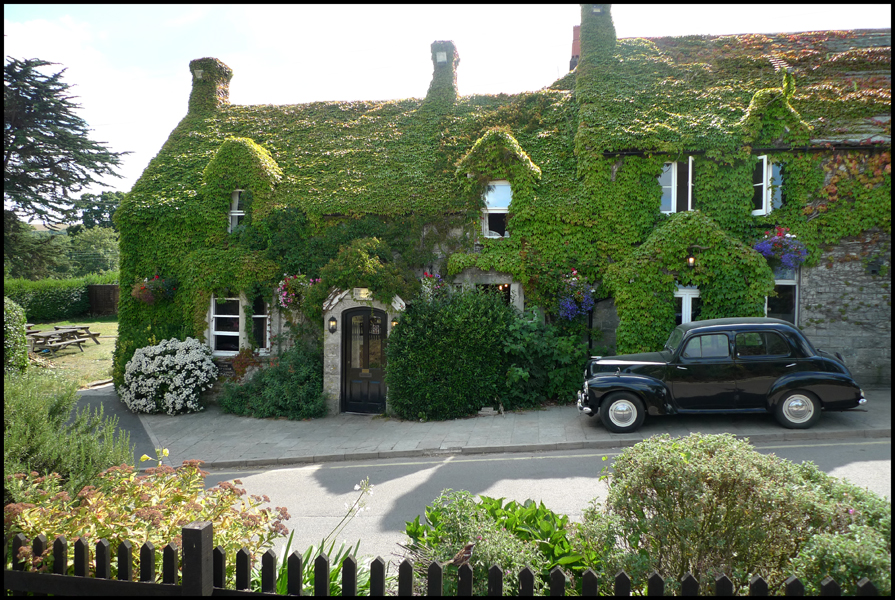 Friday July 30th (2010) Ivy Invasion width=