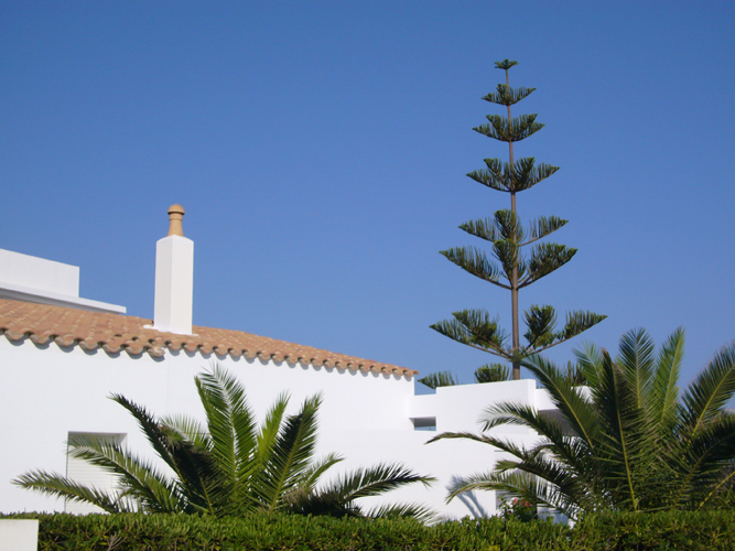 Monday July 31st (2006) Sky, house and tree. width=