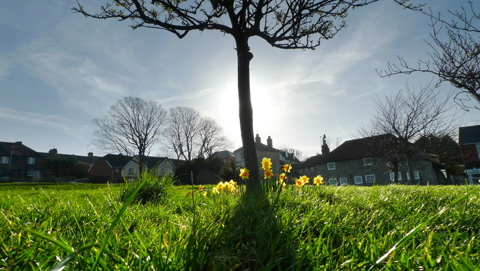 Thursday March 6th (2014) Shooting into the sun (No.2) width=