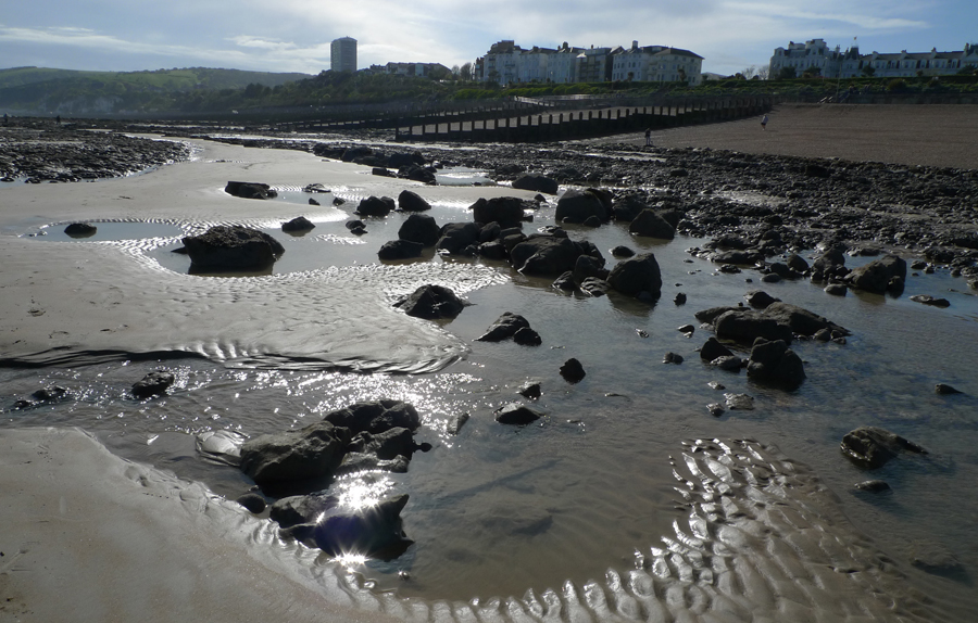 Sunday April 27th (2014) Low Tide width=