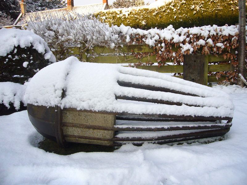 Wednesday February 4th (2009) Wingnut in the Snow width=