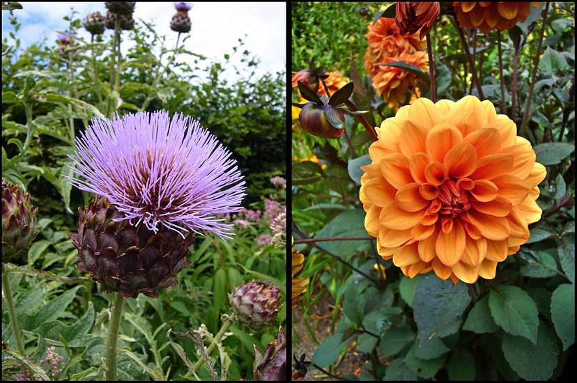 Thursday June 28th (2012) Purple and Orange width=