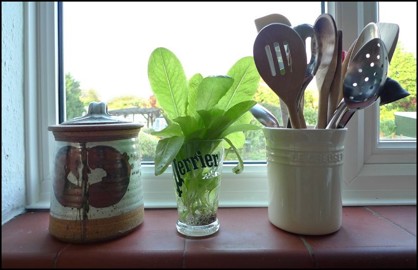 Monday May 28th (2012) Salad width=