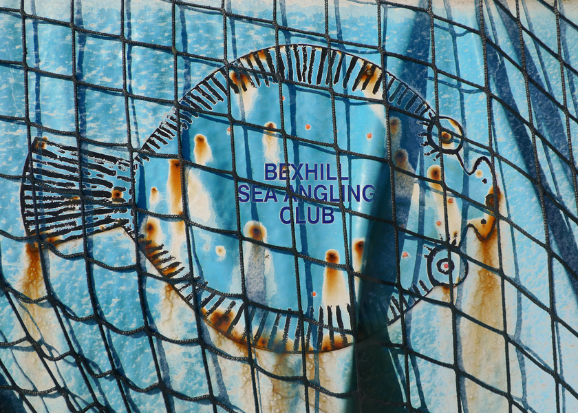 Monday February 16th (2015) Bexhill Sea Angling width=