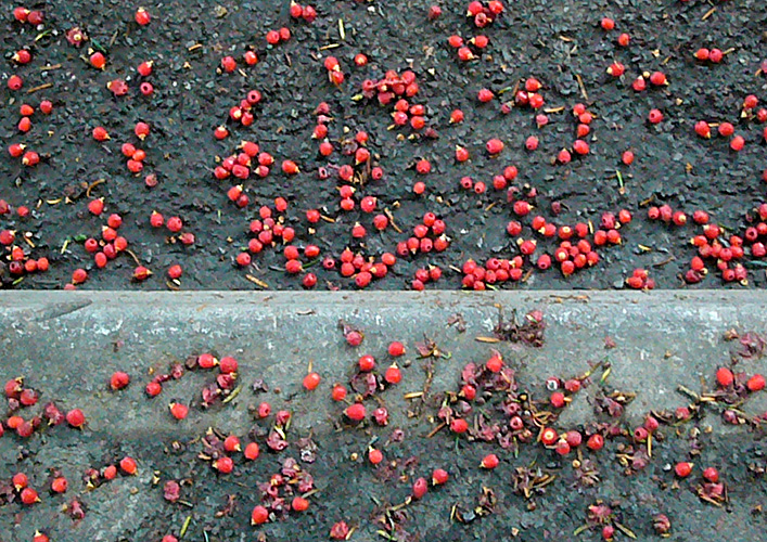 Saturday October 21st (2006) Fruit by the Church width=