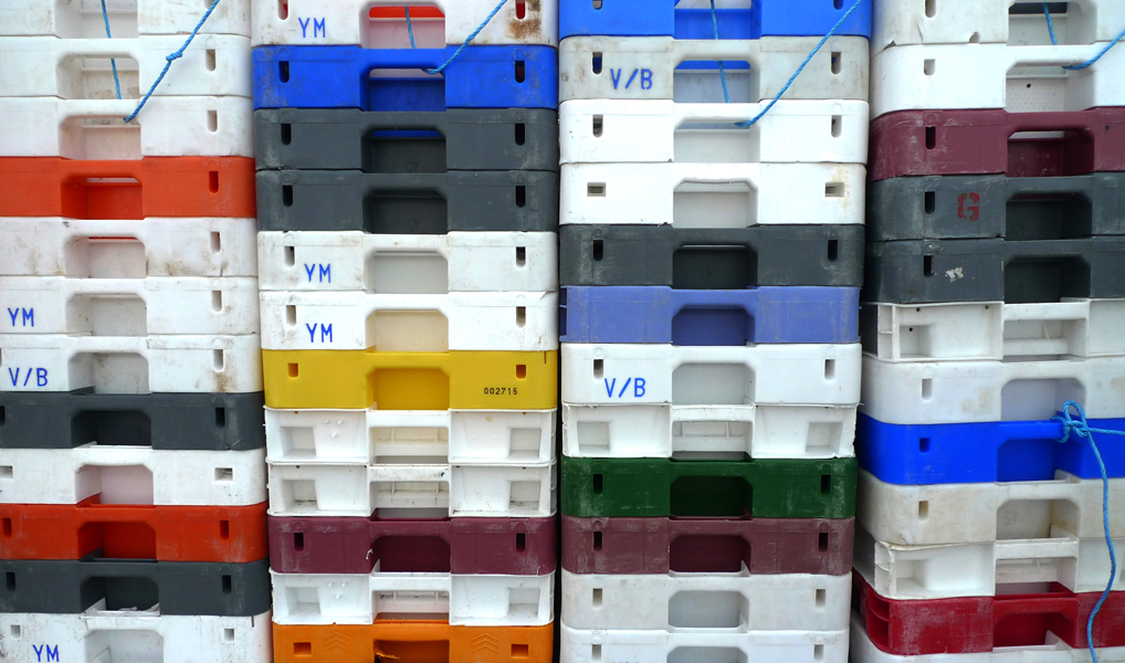 Monday February 13th (2017) Forty-eight trays width=