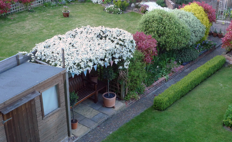 Monday May 18th (2015) Clematis ... width=