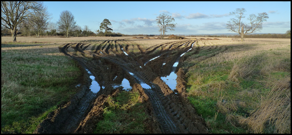 Saturday January 30th (2010) Tracks width=