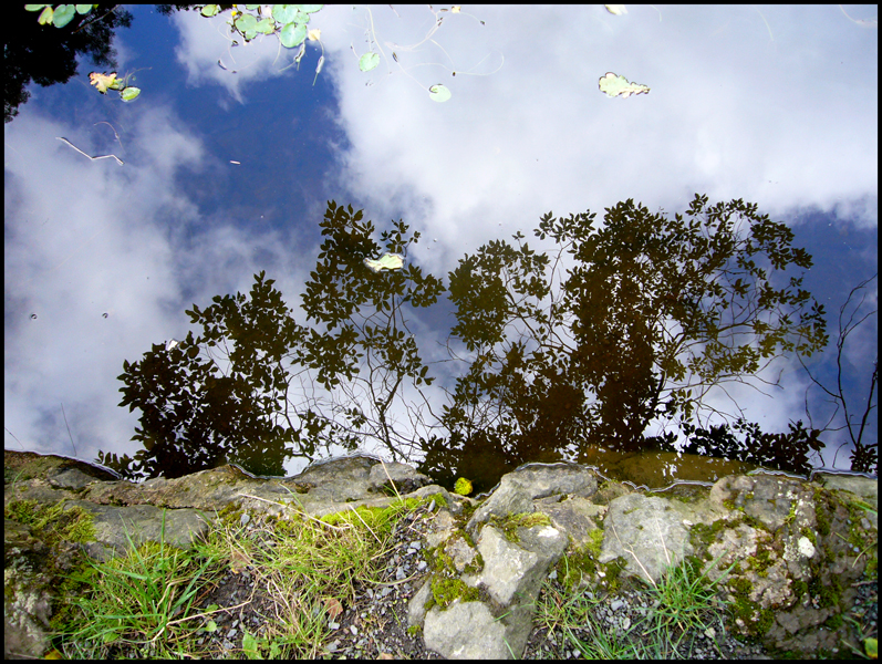 Monday August 10th (2009) Earnslaw Lake, Malvern Hills. width=